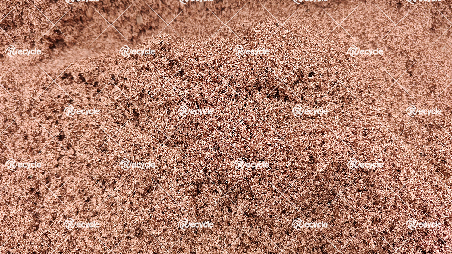 永利集团·yl(中国游)官方网站