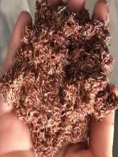 永利集团·yl(中国游)官方网站