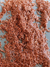 永利集团·yl(中国游)官方网站